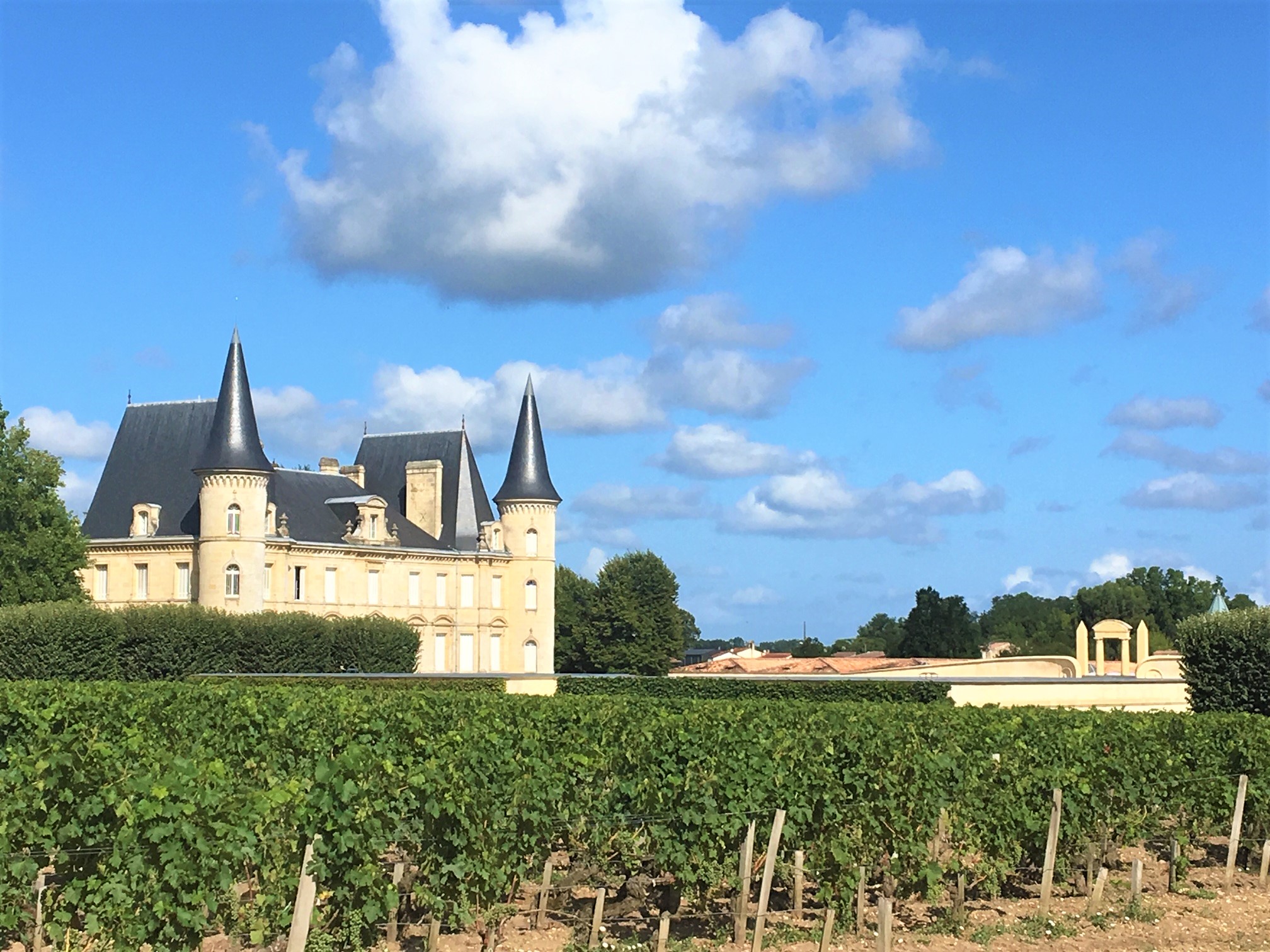 Vineyards of chateau Pichon Longueville in Paulliac